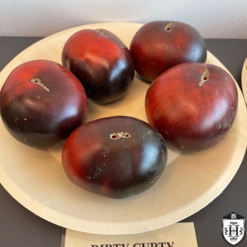Solanum lycopersicum 'Dirty Curty' - Harilik tomat 'Dirty Curty' P9/0,55L